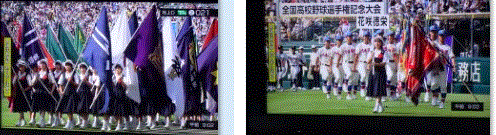 f0231709_15043818.gif