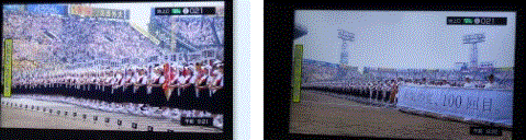 f0231709_15053006.gif