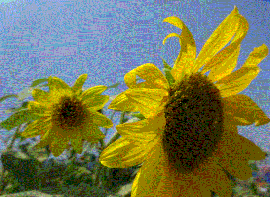 f0231709_18010158.gif