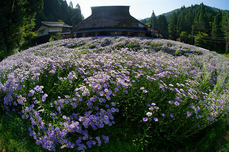 f0032011_19445890.jpg