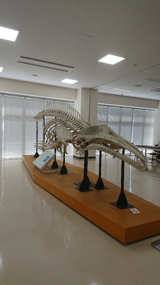 d0326314_16440760.jpg