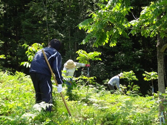 漆掻き、下草刈り講習会_c0141223_18461543.jpg