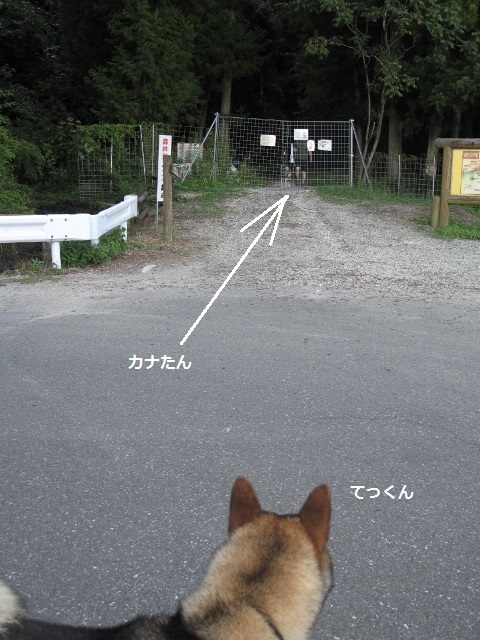 f0143123_08321357.jpg