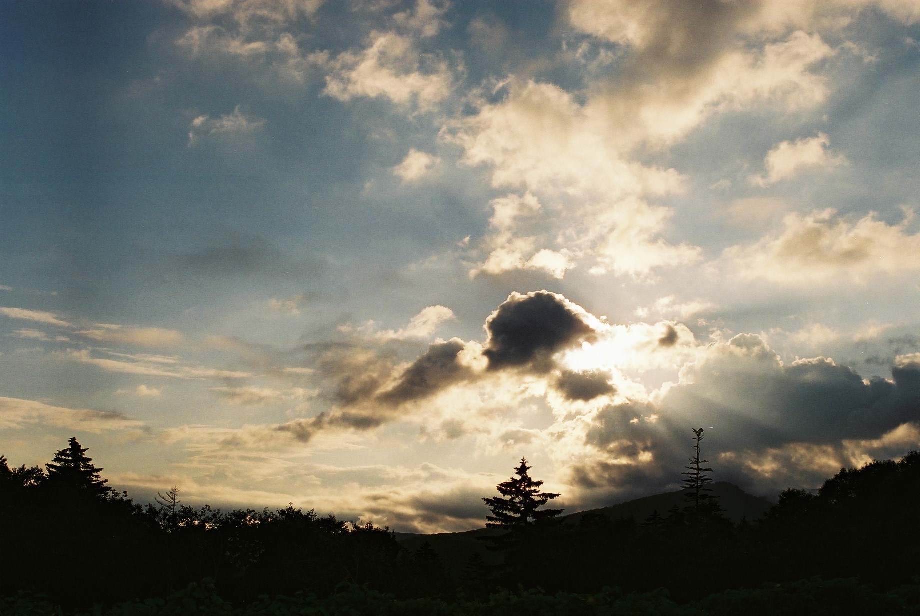 f0362725_17564653.jpg