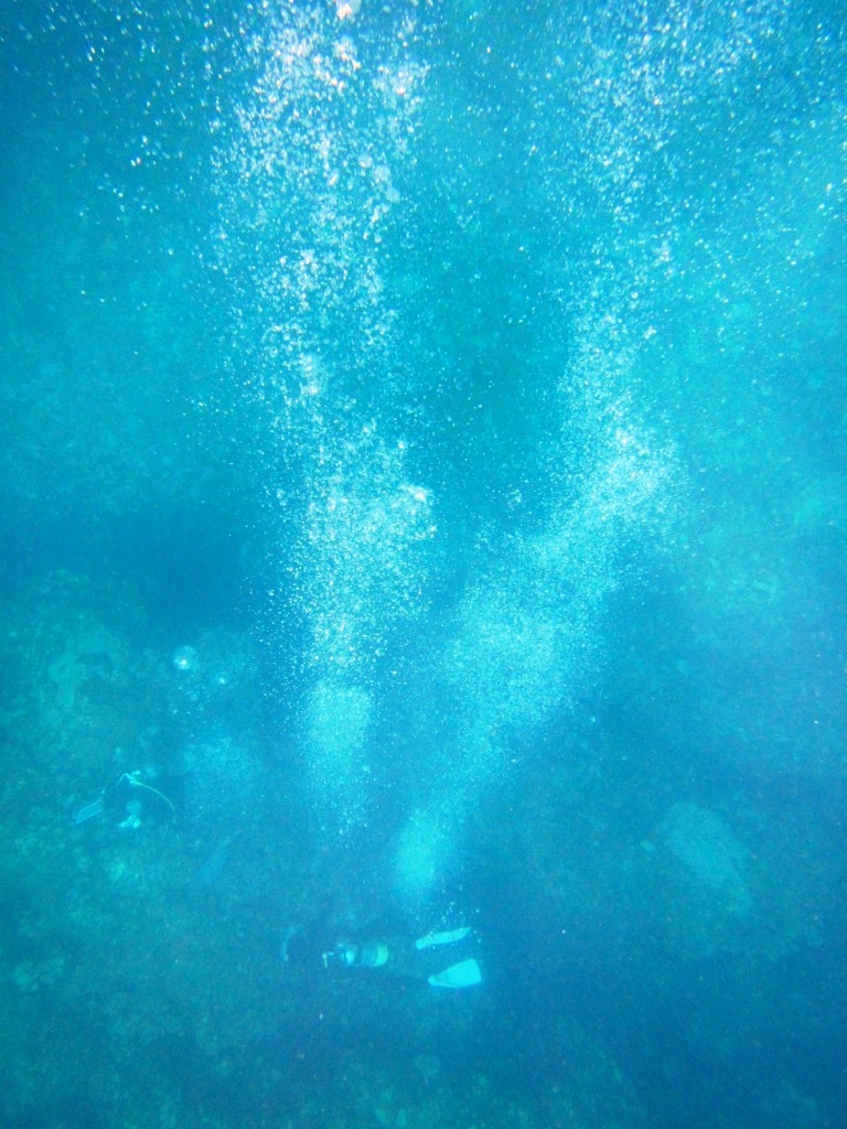 ウミガメが2匹も見れたよ~♪_a0189838_20300000.jpg