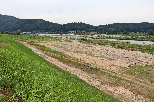 a0242438_20332476.jpg
