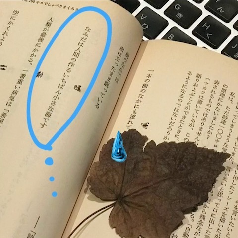 女性らしく 美しく_d0364239_17350514.jpg