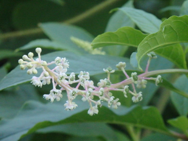 a0054240_21280736.jpg