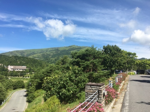 b0330040_22182062.jpeg
