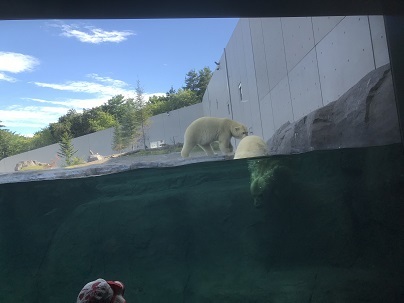 c0227640_17350670.jpg