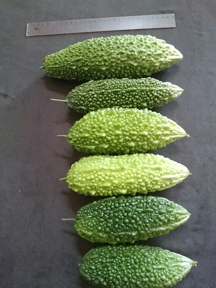 f0323446_00022529.jpg