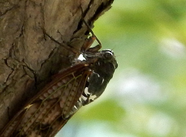 d0075453_22352656.jpg