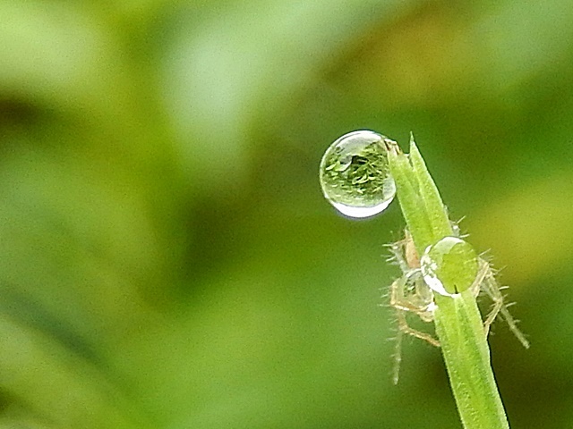 d0075453_22365584.jpg