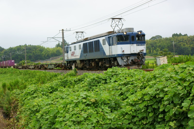 a0331055_16514274.jpg
