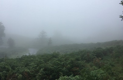 e0010856_02533660.jpg