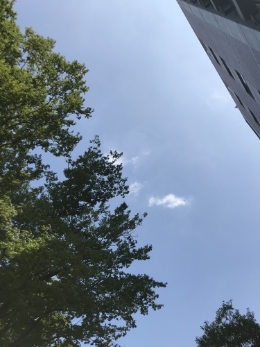 f0349957_10314900.jpeg