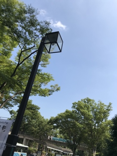 f0349957_10321005.jpeg