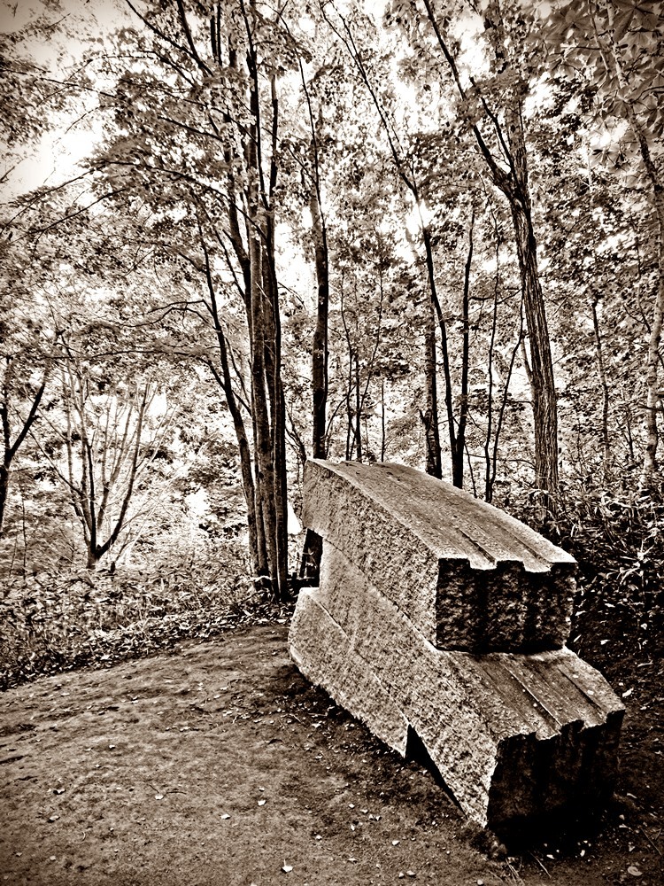 d0039059_06081343.jpg