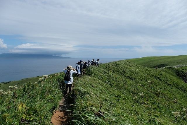 平成最後の夏休み　　花の浮島：礼文_e0225164_10372378.jpg