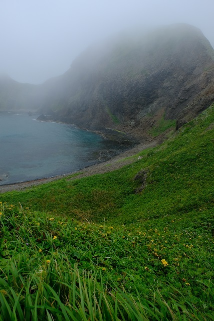 平成最後の夏休み　　花の浮島：礼文_e0225164_10394214.jpg