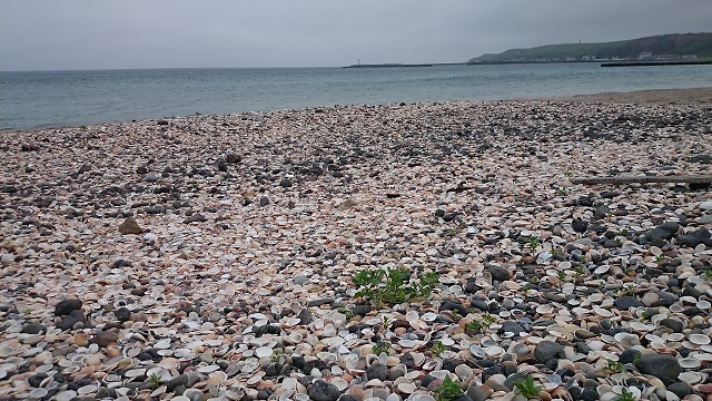 e0225164_13543159.jpg
