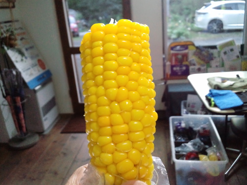 d0098665_18552990.jpg
