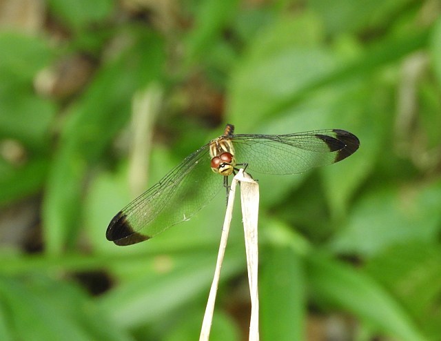 f0378979_18003163.jpg