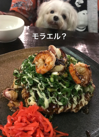 b0193480_13461510.jpeg