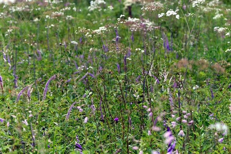 d0341880_07213316.jpg