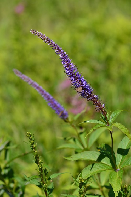 d0341880_07240494.jpg