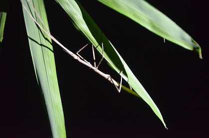 c0229483_1182659.jpg
