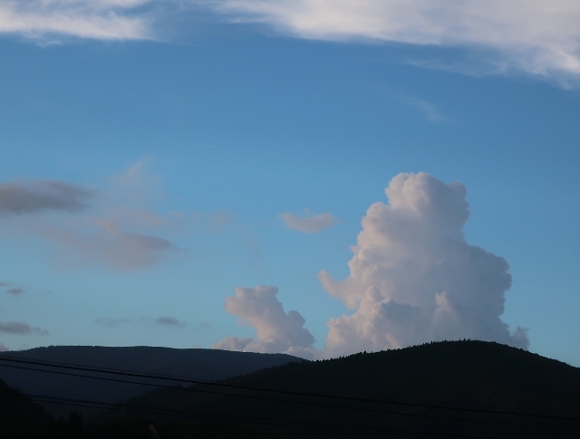 d0098183_17161124.jpg
