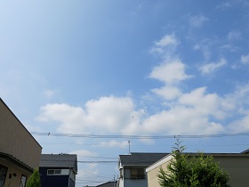 e0130185_10432020.jpg