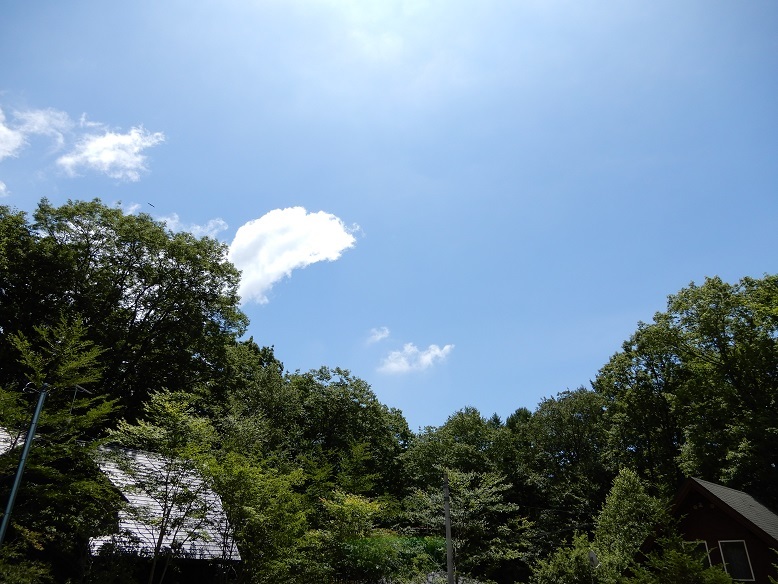 長坂町N村Sさん&Yさん邸の現場より 5_a0211886_22394481.jpg