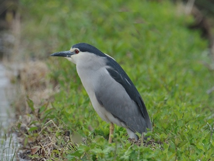 f0357487_2158384.jpg