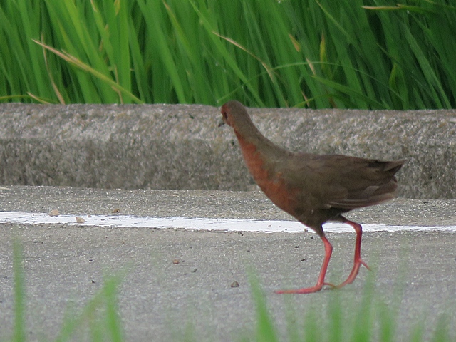 f0357487_2201369.jpg