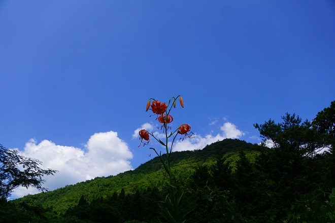 a0345188_02193547.jpg