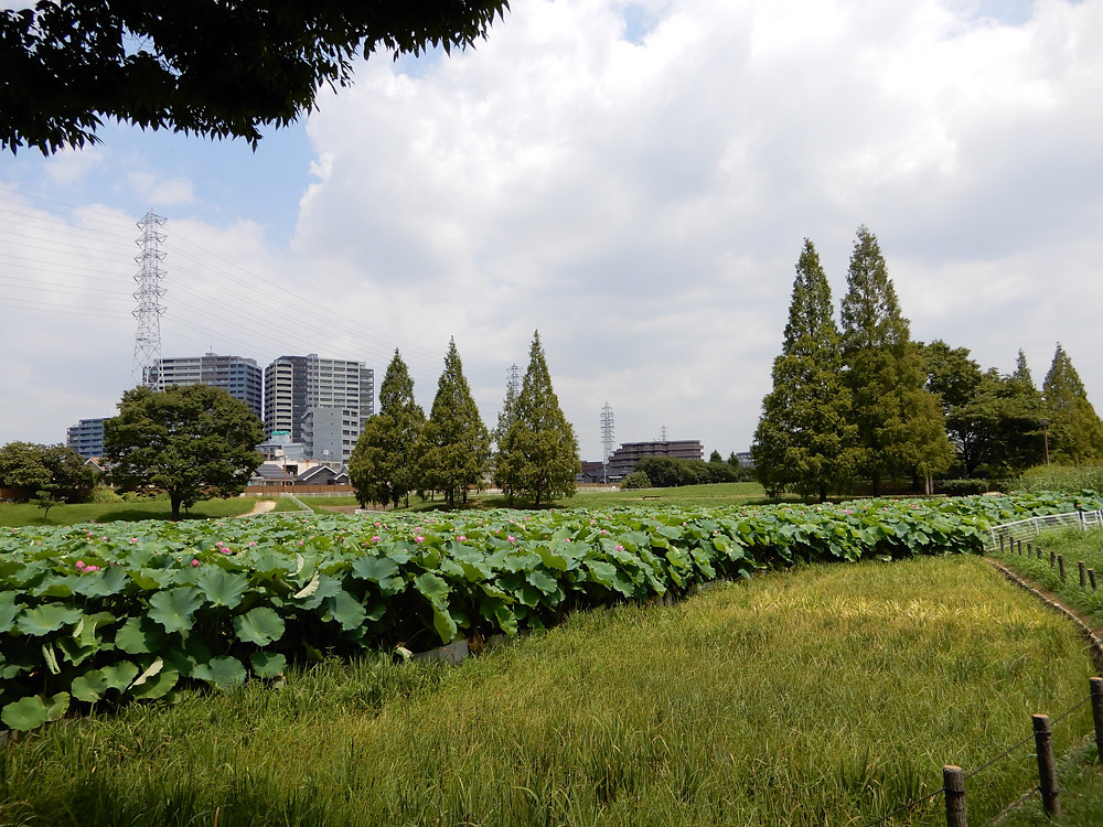 a0143491_22321391.jpg