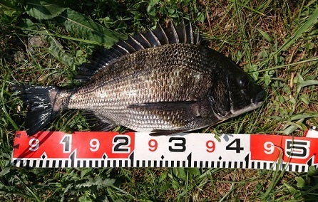 e0147297_17103470.jpg