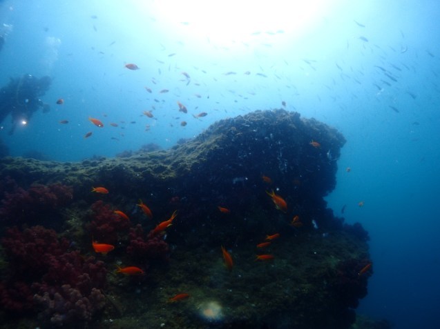 e0115199_13551047.jpg