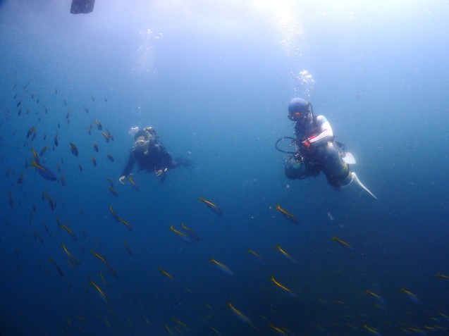 e0115199_14345584.jpg