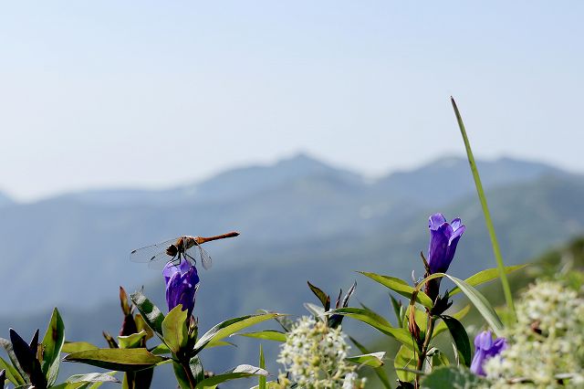 e0137200_21472089.jpg