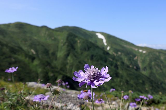 e0137200_21481277.jpg