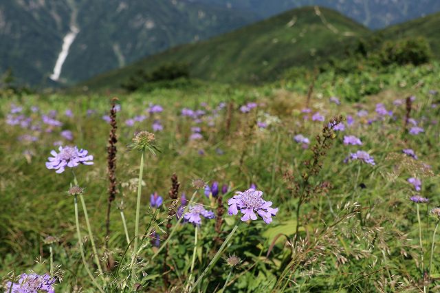 e0137200_21494364.jpg