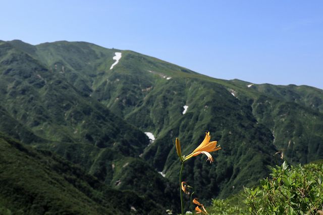 e0137200_2150496.jpg
