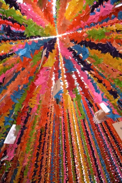 a0169902_22354926.jpg