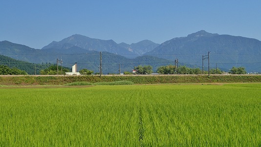 c0336902_21151494.jpg