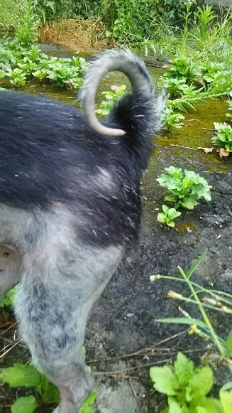 f0242002_10410239.jpg