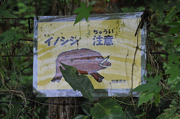a0278809_17164015.jpg