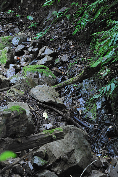 a0278809_17181622.jpg